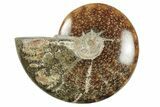 3.9" Polished Ammonite Fossil - Madagascar - #199194-1
